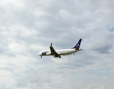 Miniatura: Z Seattle przez Islandię. Nowe samoloty...