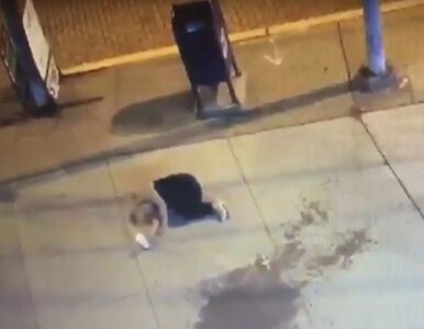 Miniatura: Pobita kobieta leżała na ulicy....