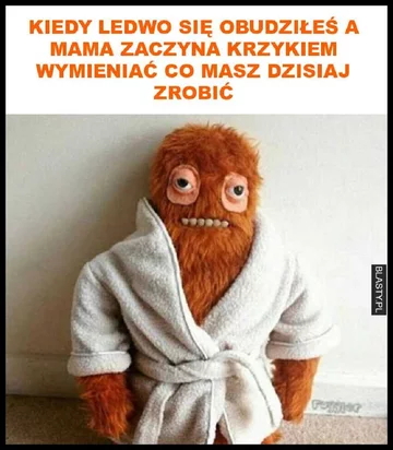 Mamy oczami internautów 