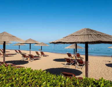 Miniatura: Nie tylko Egipt jest hitem zimy. Tydzień...