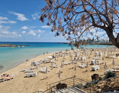 Miniatura: Nagły zwrot ws. wakacji. Odwołano loty na...