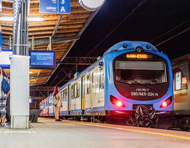 Miniatura: Polacy na temat promocji w pociągach....