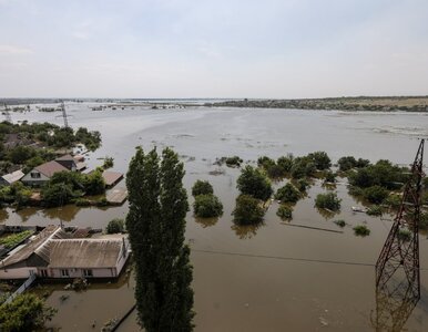 Miniatura: Rosjanie ostrzelali łódź, którą ewakuowano...