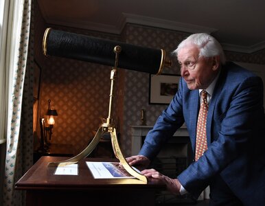 Miniatura: Słynny brytyjski przyrodnik kończy 100...
