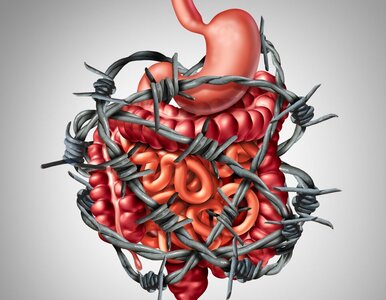 Miniatura: IBS – przyczyny, objawy, diagnostyka i...