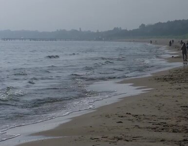 Miniatura: Plaże nad Bałtykiem będą zamknięte przez...