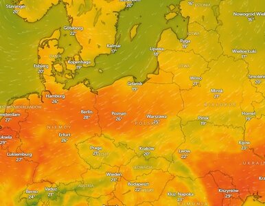 Miniatura: Nawet 15 stopni różnicy.  Prognoza pogody...