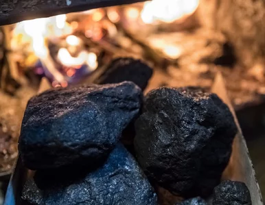 Miniatura: Deklaracje o źródłach ciepła. Termin...