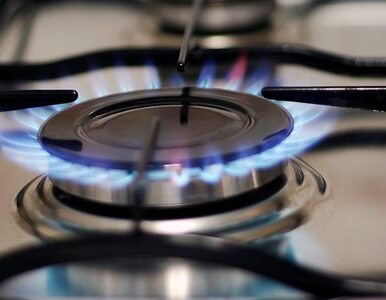 Miniatura: Rosja odniży cenę gazu dla Bułgarii o 11...