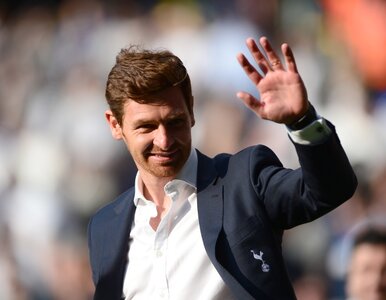 Miniatura: Andre Villas-Boas skrytykował kibiców...