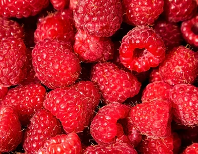 Miniatura: Plastik w aż 20 tonach malin. Natychmiast...