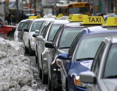 Miniatura: Posłanka PO ostrzega przed taksówkarzami