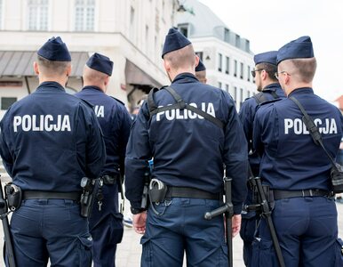 Miniatura: Policja znalazła sposób na „zapaść...