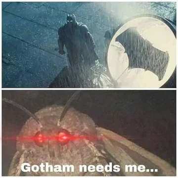 Mem z ćmą 