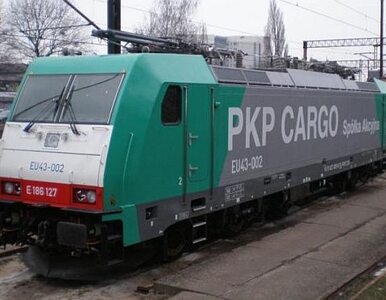Miniatura: PKP Cargo może przejąć Trade Trans