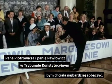 Mem komentujący przepisy dot. nominacji do TK 