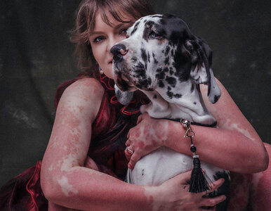 Miniatura: „Łaciaty” pies jest „piękny”, „łaciaty”...