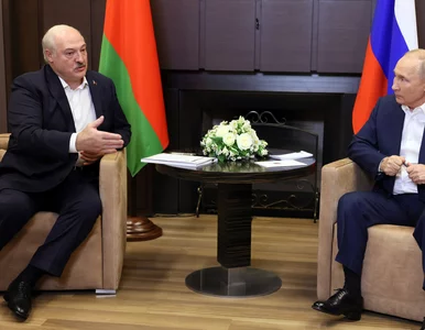 Miniatura: Kuriozalne przemówienie Putina. Te słowa...