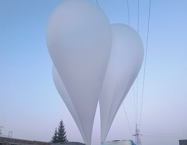 Miniatura: Balony z dużymi paczkami wylądowały w...