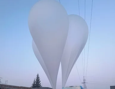 Miniatura: Balony z dużymi paczkami wylądowały w...
