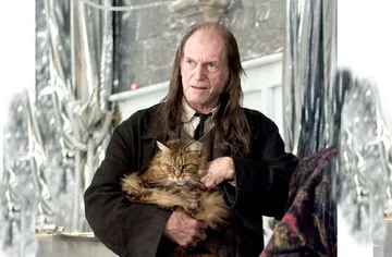 David Bradley jako Argus Filch 