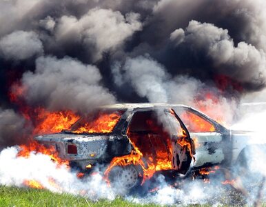 Miniatura: Auto spłonęło w Suchym Lesie