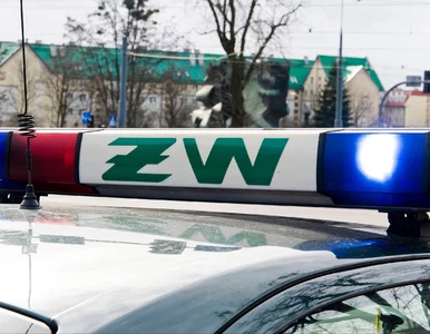 Miniatura: Pojazd wojskowy w rowie, trzej ranni....