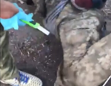 Miniatura: Rosyjscy żołnierze kastrują ukraińskich...