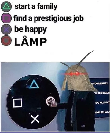 Mem z ćmą 