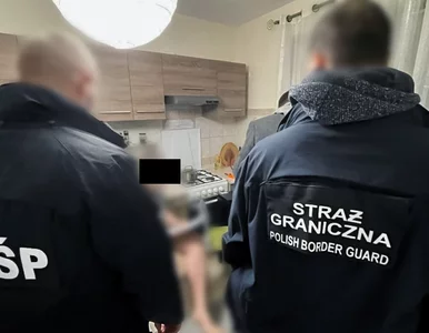 Miniatura: Nielegalne wizy i fikcyjni pracodawcy....