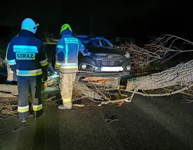 Miniatura: Potężne wichury nad Polską. Wiatr osiągnął...