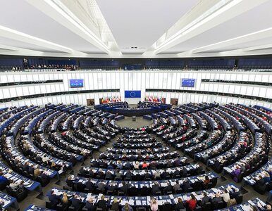 Miniatura: Posiedzenie Parlamentu Europejskiego....