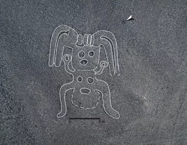Miniatura: Niezwykłe odkrycie na pustyni Nazca....