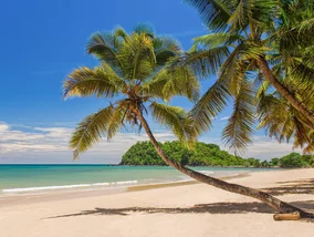 Miniatura: „Nowy Zanzibar” bezpośrednio...