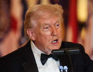 Miniatura: 21-latek zastrzelony na terenie rezydencji...