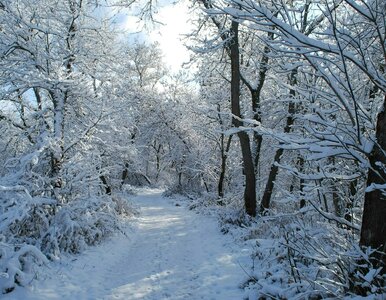 Miniatura: Taki będzie początek października. Nawet 7...