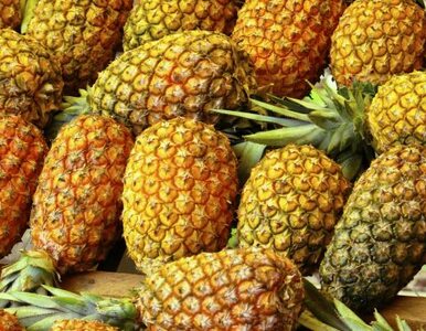 Miniatura: Kokaina w ananasach. Ukraińcy przechwycili...
