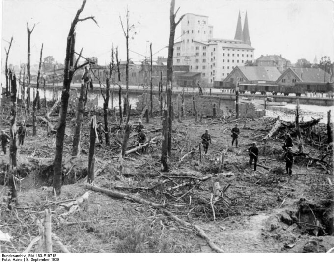 Zdjęcie spalonego lasu na Westerplatte po zdobyciu półwyspu