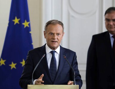 Miniatura: Donald Tusk jest milionerem? Policzono,...