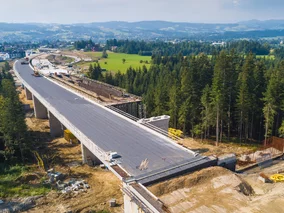 Miniatura: 40 czempionów polskiego budownictwa....