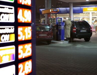 Miniatura: Lotos obniża ceny paliw