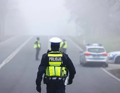 Miniatura: Migranci pobici i obrabowani pod Hajnówką....