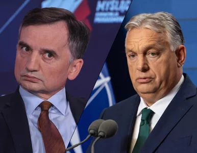 Miniatura: Co dalej z Ziobro? Zembaczyński: Jeśli...