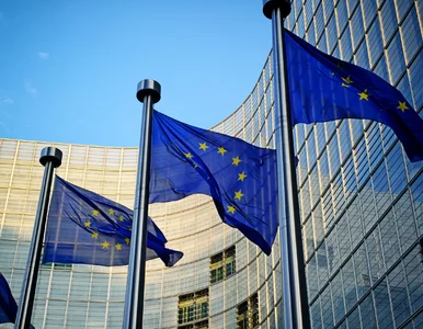 Miniatura: KE składa skargę na Polskę. Czego nie...