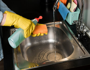 Miniatura: Drugie życie kuchennej gąbki – ekologiczne...