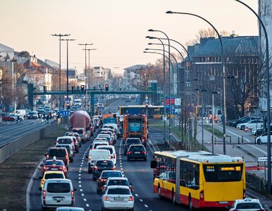 Miniatura: Polskie miasto wśród najlepszych....