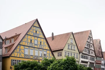 Hotel Golden Rose, projekt noa*. 