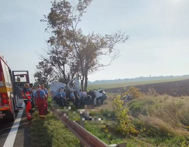 Miniatura: Wypadek samochodu polskiej rodziny w...