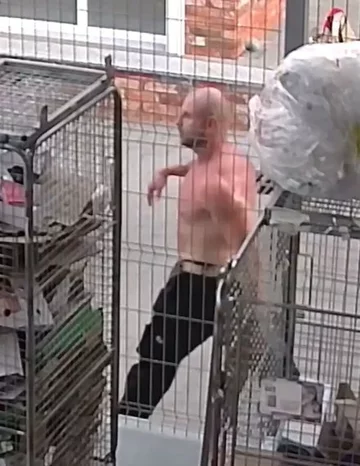 Poszukiwany mężczyzna 