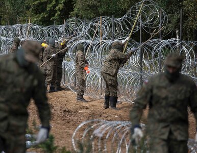 Miniatura: Nowe informacje o migrantach z Usnarza...